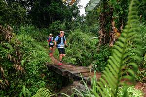 BIB: 
                            <button type="button" onclick="openModal(26207659)" class="btn btn-primary btn-sm float-right btn-popup" data-toggle="modal" data-target=".modal-high-quality">
                        <i class="fas fa-shopping-cart"></i> Add to Cart
                    </button>
                                            <button type="button" onclick="isThisMe(26207659, true)" class="btn btn-success btn-sm float-right btn-popup btn-isme hidden" data-toggle="tooltip" data-placement="bottom" title="นี่คือรูปของคุณใช่ไหม คลิกที่นี่เพื่อเอาเข้าอัลบั้ม">
                        <i class="fas fa-plus"></i> Add to album
                    </button>
                    <button type="button" onclick="isThisMe(26207659, false)" class="btn btn-warning btn-sm float-right btn-popup btn-isnotme hidden">
                        <i class="fas fa-ban"></i> Remove from album
                    </button>