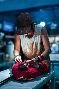 BIB: 
                            <button type="button" onclick="openModal(26459270)" class="btn btn-primary btn-sm float-right btn-popup" data-toggle="modal" data-target=".modal-high-quality">
                        <i class="fas fa-shopping-cart"></i> Add to Cart
                    </button>
                                            <button type="button" onclick="isThisMe(26459270, true)" class="btn btn-success btn-sm float-right btn-popup btn-isme hidden" data-toggle="tooltip" data-placement="bottom" title="นี่คือรูปของคุณใช่ไหม คลิกที่นี่เพื่อเอาเข้าอัลบั้ม">
                        <i class="fas fa-plus"></i> Add to album
                    </button>
                    <button type="button" onclick="isThisMe(26459270, false)" class="btn btn-warning btn-sm float-right btn-popup btn-isnotme hidden">
                        <i class="fas fa-ban"></i> Remove from album
                    </button>