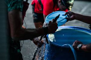 BIB: 
                            <button type="button" onclick="openModal(26459448)" class="btn btn-primary btn-sm float-right btn-popup" data-toggle="modal" data-target=".modal-high-quality">
                        <i class="fas fa-shopping-cart"></i> Add to Cart
                    </button>
                                            <button type="button" onclick="isThisMe(26459448, true)" class="btn btn-success btn-sm float-right btn-popup btn-isme hidden" data-toggle="tooltip" data-placement="bottom" title="นี่คือรูปของคุณใช่ไหม คลิกที่นี่เพื่อเอาเข้าอัลบั้ม">
                        <i class="fas fa-plus"></i> Add to album
                    </button>
                    <button type="button" onclick="isThisMe(26459448, false)" class="btn btn-warning btn-sm float-right btn-popup btn-isnotme hidden">
                        <i class="fas fa-ban"></i> Remove from album
                    </button>