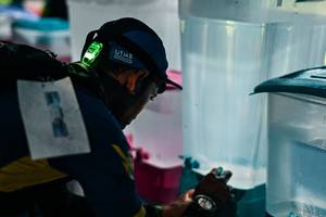 BIB: 
                            <button type="button" onclick="openModal(26459108)" class="btn btn-primary btn-sm float-right btn-popup" data-toggle="modal" data-target=".modal-high-quality">
                        <i class="fas fa-shopping-cart"></i> Add to Cart
                    </button>
                                            <button type="button" onclick="isThisMe(26459108, true)" class="btn btn-success btn-sm float-right btn-popup btn-isme hidden" data-toggle="tooltip" data-placement="bottom" title="นี่คือรูปของคุณใช่ไหม คลิกที่นี่เพื่อเอาเข้าอัลบั้ม">
                        <i class="fas fa-plus"></i> Add to album
                    </button>
                    <button type="button" onclick="isThisMe(26459108, false)" class="btn btn-warning btn-sm float-right btn-popup btn-isnotme hidden">
                        <i class="fas fa-ban"></i> Remove from album
                    </button>