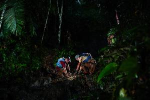 BIB: 
                            <button type="button" onclick="openModal(26210943)" class="btn btn-primary btn-sm float-right btn-popup" data-toggle="modal" data-target=".modal-high-quality">
                        <i class="fas fa-shopping-cart"></i> Add to Cart
                    </button>
                                            <button type="button" onclick="isThisMe(26210943, true)" class="btn btn-success btn-sm float-right btn-popup btn-isme hidden" data-toggle="tooltip" data-placement="bottom" title="นี่คือรูปของคุณใช่ไหม คลิกที่นี่เพื่อเอาเข้าอัลบั้ม">
                        <i class="fas fa-plus"></i> Add to album
                    </button>
                    <button type="button" onclick="isThisMe(26210943, false)" class="btn btn-warning btn-sm float-right btn-popup btn-isnotme hidden">
                        <i class="fas fa-ban"></i> Remove from album
                    </button>