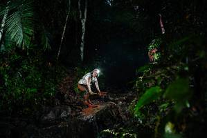 BIB: 
                            <button type="button" onclick="openModal(26210817)" class="btn btn-primary btn-sm float-right btn-popup" data-toggle="modal" data-target=".modal-high-quality">
                        <i class="fas fa-shopping-cart"></i> Add to Cart
                    </button>
                                            <button type="button" onclick="isThisMe(26210817, true)" class="btn btn-success btn-sm float-right btn-popup btn-isme hidden" data-toggle="tooltip" data-placement="bottom" title="นี่คือรูปของคุณใช่ไหม คลิกที่นี่เพื่อเอาเข้าอัลบั้ม">
                        <i class="fas fa-plus"></i> Add to album
                    </button>
                    <button type="button" onclick="isThisMe(26210817, false)" class="btn btn-warning btn-sm float-right btn-popup btn-isnotme hidden">
                        <i class="fas fa-ban"></i> Remove from album
                    </button>