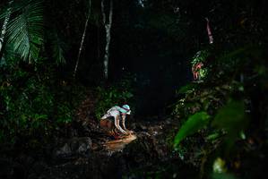 BIB: 
                            <button type="button" onclick="openModal(26210820)" class="btn btn-primary btn-sm float-right btn-popup" data-toggle="modal" data-target=".modal-high-quality">
                        <i class="fas fa-shopping-cart"></i> Add to Cart
                    </button>
                                            <button type="button" onclick="isThisMe(26210820, true)" class="btn btn-success btn-sm float-right btn-popup btn-isme hidden" data-toggle="tooltip" data-placement="bottom" title="นี่คือรูปของคุณใช่ไหม คลิกที่นี่เพื่อเอาเข้าอัลบั้ม">
                        <i class="fas fa-plus"></i> Add to album
                    </button>
                    <button type="button" onclick="isThisMe(26210820, false)" class="btn btn-warning btn-sm float-right btn-popup btn-isnotme hidden">
                        <i class="fas fa-ban"></i> Remove from album
                    </button>