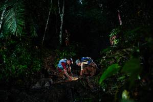 BIB: 
                            <button type="button" onclick="openModal(26210942)" class="btn btn-primary btn-sm float-right btn-popup" data-toggle="modal" data-target=".modal-high-quality">
                        <i class="fas fa-shopping-cart"></i> Add to Cart
                    </button>
                                            <button type="button" onclick="isThisMe(26210942, true)" class="btn btn-success btn-sm float-right btn-popup btn-isme hidden" data-toggle="tooltip" data-placement="bottom" title="นี่คือรูปของคุณใช่ไหม คลิกที่นี่เพื่อเอาเข้าอัลบั้ม">
                        <i class="fas fa-plus"></i> Add to album
                    </button>
                    <button type="button" onclick="isThisMe(26210942, false)" class="btn btn-warning btn-sm float-right btn-popup btn-isnotme hidden">
                        <i class="fas fa-ban"></i> Remove from album
                    </button>