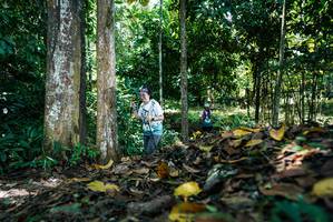 BIB: 
                            <button type="button" onclick="openModal(26303816)" class="btn btn-primary btn-sm float-right btn-popup" data-toggle="modal" data-target=".modal-high-quality">
                        <i class="fas fa-shopping-cart"></i> Add to Cart
                    </button>
                                            <button type="button" onclick="isThisMe(26303816, true)" class="btn btn-success btn-sm float-right btn-popup btn-isme hidden" data-toggle="tooltip" data-placement="bottom" title="นี่คือรูปของคุณใช่ไหม คลิกที่นี่เพื่อเอาเข้าอัลบั้ม">
                        <i class="fas fa-plus"></i> Add to album
                    </button>
                    <button type="button" onclick="isThisMe(26303816, false)" class="btn btn-warning btn-sm float-right btn-popup btn-isnotme hidden">
                        <i class="fas fa-ban"></i> Remove from album
                    </button>