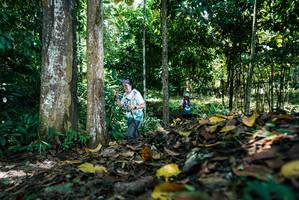 BIB: 
                            <button type="button" onclick="openModal(26303817)" class="btn btn-primary btn-sm float-right btn-popup" data-toggle="modal" data-target=".modal-high-quality">
                        <i class="fas fa-shopping-cart"></i> Add to Cart
                    </button>
                                            <button type="button" onclick="isThisMe(26303817, true)" class="btn btn-success btn-sm float-right btn-popup btn-isme hidden" data-toggle="tooltip" data-placement="bottom" title="นี่คือรูปของคุณใช่ไหม คลิกที่นี่เพื่อเอาเข้าอัลบั้ม">
                        <i class="fas fa-plus"></i> Add to album
                    </button>
                    <button type="button" onclick="isThisMe(26303817, false)" class="btn btn-warning btn-sm float-right btn-popup btn-isnotme hidden">
                        <i class="fas fa-ban"></i> Remove from album
                    </button>