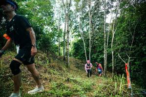 BIB: 
                            <button type="button" onclick="openModal(26295081)" class="btn btn-primary btn-sm float-right btn-popup" data-toggle="modal" data-target=".modal-high-quality">
                        <i class="fas fa-shopping-cart"></i> Add to Cart
                    </button>
                                            <button type="button" onclick="isThisMe(26295081, true)" class="btn btn-success btn-sm float-right btn-popup btn-isme hidden" data-toggle="tooltip" data-placement="bottom" title="นี่คือรูปของคุณใช่ไหม คลิกที่นี่เพื่อเอาเข้าอัลบั้ม">
                        <i class="fas fa-plus"></i> Add to album
                    </button>
                    <button type="button" onclick="isThisMe(26295081, false)" class="btn btn-warning btn-sm float-right btn-popup btn-isnotme hidden">
                        <i class="fas fa-ban"></i> Remove from album
                    </button>