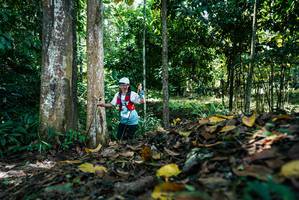 BIB: 
                            <button type="button" onclick="openModal(26303827)" class="btn btn-primary btn-sm float-right btn-popup" data-toggle="modal" data-target=".modal-high-quality">
                        <i class="fas fa-shopping-cart"></i> Add to Cart
                    </button>
                                            <button type="button" onclick="isThisMe(26303827, true)" class="btn btn-success btn-sm float-right btn-popup btn-isme hidden" data-toggle="tooltip" data-placement="bottom" title="นี่คือรูปของคุณใช่ไหม คลิกที่นี่เพื่อเอาเข้าอัลบั้ม">
                        <i class="fas fa-plus"></i> Add to album
                    </button>
                    <button type="button" onclick="isThisMe(26303827, false)" class="btn btn-warning btn-sm float-right btn-popup btn-isnotme hidden">
                        <i class="fas fa-ban"></i> Remove from album
                    </button>