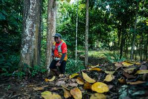 BIB: 
                            <button type="button" onclick="openModal(26303854)" class="btn btn-primary btn-sm float-right btn-popup" data-toggle="modal" data-target=".modal-high-quality">
                        <i class="fas fa-shopping-cart"></i> Add to Cart
                    </button>
                                            <button type="button" onclick="isThisMe(26303854, true)" class="btn btn-success btn-sm float-right btn-popup btn-isme hidden" data-toggle="tooltip" data-placement="bottom" title="นี่คือรูปของคุณใช่ไหม คลิกที่นี่เพื่อเอาเข้าอัลบั้ม">
                        <i class="fas fa-plus"></i> Add to album
                    </button>
                    <button type="button" onclick="isThisMe(26303854, false)" class="btn btn-warning btn-sm float-right btn-popup btn-isnotme hidden">
                        <i class="fas fa-ban"></i> Remove from album
                    </button>