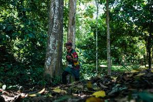 BIB: 
                            <button type="button" onclick="openModal(26303793)" class="btn btn-primary btn-sm float-right btn-popup" data-toggle="modal" data-target=".modal-high-quality">
                        <i class="fas fa-shopping-cart"></i> Add to Cart
                    </button>
                                            <button type="button" onclick="isThisMe(26303793, true)" class="btn btn-success btn-sm float-right btn-popup btn-isme hidden" data-toggle="tooltip" data-placement="bottom" title="นี่คือรูปของคุณใช่ไหม คลิกที่นี่เพื่อเอาเข้าอัลบั้ม">
                        <i class="fas fa-plus"></i> Add to album
                    </button>
                    <button type="button" onclick="isThisMe(26303793, false)" class="btn btn-warning btn-sm float-right btn-popup btn-isnotme hidden">
                        <i class="fas fa-ban"></i> Remove from album
                    </button>