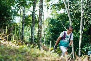 BIB: 
                            <button type="button" onclick="openModal(26296592)" class="btn btn-primary btn-sm float-right btn-popup" data-toggle="modal" data-target=".modal-high-quality">
                        <i class="fas fa-shopping-cart"></i> Add to Cart
                    </button>
                                            <button type="button" onclick="isThisMe(26296592, true)" class="btn btn-success btn-sm float-right btn-popup btn-isme hidden" data-toggle="tooltip" data-placement="bottom" title="นี่คือรูปของคุณใช่ไหม คลิกที่นี่เพื่อเอาเข้าอัลบั้ม">
                        <i class="fas fa-plus"></i> Add to album
                    </button>
                    <button type="button" onclick="isThisMe(26296592, false)" class="btn btn-warning btn-sm float-right btn-popup btn-isnotme hidden">
                        <i class="fas fa-ban"></i> Remove from album
                    </button>