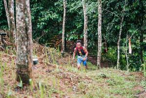 BIB: 
                            <button type="button" onclick="openModal(26292529)" class="btn btn-primary btn-sm float-right btn-popup" data-toggle="modal" data-target=".modal-high-quality">
                        <i class="fas fa-shopping-cart"></i> Add to Cart
                    </button>
                                            <button type="button" onclick="isThisMe(26292529, true)" class="btn btn-success btn-sm float-right btn-popup btn-isme hidden" data-toggle="tooltip" data-placement="bottom" title="นี่คือรูปของคุณใช่ไหม คลิกที่นี่เพื่อเอาเข้าอัลบั้ม">
                        <i class="fas fa-plus"></i> Add to album
                    </button>
                    <button type="button" onclick="isThisMe(26292529, false)" class="btn btn-warning btn-sm float-right btn-popup btn-isnotme hidden">
                        <i class="fas fa-ban"></i> Remove from album
                    </button>