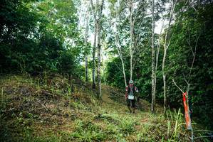 BIB: 
                            <button type="button" onclick="openModal(26295155)" class="btn btn-primary btn-sm float-right btn-popup" data-toggle="modal" data-target=".modal-high-quality">
                        <i class="fas fa-shopping-cart"></i> Add to Cart
                    </button>
                                            <button type="button" onclick="isThisMe(26295155, true)" class="btn btn-success btn-sm float-right btn-popup btn-isme hidden" data-toggle="tooltip" data-placement="bottom" title="นี่คือรูปของคุณใช่ไหม คลิกที่นี่เพื่อเอาเข้าอัลบั้ม">
                        <i class="fas fa-plus"></i> Add to album
                    </button>
                    <button type="button" onclick="isThisMe(26295155, false)" class="btn btn-warning btn-sm float-right btn-popup btn-isnotme hidden">
                        <i class="fas fa-ban"></i> Remove from album
                    </button>