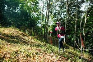 BIB: 
                            <button type="button" onclick="openModal(26299955)" class="btn btn-primary btn-sm float-right btn-popup" data-toggle="modal" data-target=".modal-high-quality">
                        <i class="fas fa-shopping-cart"></i> Add to Cart
                    </button>
                                            <button type="button" onclick="isThisMe(26299955, true)" class="btn btn-success btn-sm float-right btn-popup btn-isme hidden" data-toggle="tooltip" data-placement="bottom" title="นี่คือรูปของคุณใช่ไหม คลิกที่นี่เพื่อเอาเข้าอัลบั้ม">
                        <i class="fas fa-plus"></i> Add to album
                    </button>
                    <button type="button" onclick="isThisMe(26299955, false)" class="btn btn-warning btn-sm float-right btn-popup btn-isnotme hidden">
                        <i class="fas fa-ban"></i> Remove from album
                    </button>