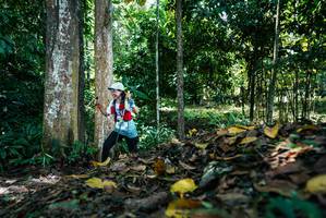 BIB: 
                            <button type="button" onclick="openModal(26303830)" class="btn btn-primary btn-sm float-right btn-popup" data-toggle="modal" data-target=".modal-high-quality">
                        <i class="fas fa-shopping-cart"></i> Add to Cart
                    </button>
                                            <button type="button" onclick="isThisMe(26303830, true)" class="btn btn-success btn-sm float-right btn-popup btn-isme hidden" data-toggle="tooltip" data-placement="bottom" title="นี่คือรูปของคุณใช่ไหม คลิกที่นี่เพื่อเอาเข้าอัลบั้ม">
                        <i class="fas fa-plus"></i> Add to album
                    </button>
                    <button type="button" onclick="isThisMe(26303830, false)" class="btn btn-warning btn-sm float-right btn-popup btn-isnotme hidden">
                        <i class="fas fa-ban"></i> Remove from album
                    </button>