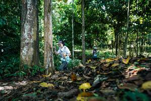 BIB: 
                            <button type="button" onclick="openModal(26303819)" class="btn btn-primary btn-sm float-right btn-popup" data-toggle="modal" data-target=".modal-high-quality">
                        <i class="fas fa-shopping-cart"></i> Add to Cart
                    </button>
                                            <button type="button" onclick="isThisMe(26303819, true)" class="btn btn-success btn-sm float-right btn-popup btn-isme hidden" data-toggle="tooltip" data-placement="bottom" title="นี่คือรูปของคุณใช่ไหม คลิกที่นี่เพื่อเอาเข้าอัลบั้ม">
                        <i class="fas fa-plus"></i> Add to album
                    </button>
                    <button type="button" onclick="isThisMe(26303819, false)" class="btn btn-warning btn-sm float-right btn-popup btn-isnotme hidden">
                        <i class="fas fa-ban"></i> Remove from album
                    </button>