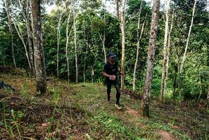 BIB: 
                            <button type="button" onclick="openModal(26292578)" class="btn btn-primary btn-sm float-right btn-popup" data-toggle="modal" data-target=".modal-high-quality">
                        <i class="fas fa-shopping-cart"></i> Add to Cart
                    </button>
                                            <button type="button" onclick="isThisMe(26292578, true)" class="btn btn-success btn-sm float-right btn-popup btn-isme hidden" data-toggle="tooltip" data-placement="bottom" title="นี่คือรูปของคุณใช่ไหม คลิกที่นี่เพื่อเอาเข้าอัลบั้ม">
                        <i class="fas fa-plus"></i> Add to album
                    </button>
                    <button type="button" onclick="isThisMe(26292578, false)" class="btn btn-warning btn-sm float-right btn-popup btn-isnotme hidden">
                        <i class="fas fa-ban"></i> Remove from album
                    </button>