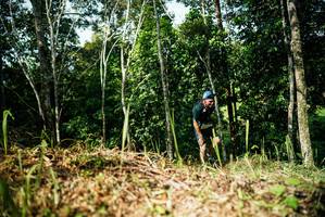 BIB: 
                            <button type="button" onclick="openModal(26299753)" class="btn btn-primary btn-sm float-right btn-popup" data-toggle="modal" data-target=".modal-high-quality">
                        <i class="fas fa-shopping-cart"></i> Add to Cart
                    </button>
                                            <button type="button" onclick="isThisMe(26299753, true)" class="btn btn-success btn-sm float-right btn-popup btn-isme hidden" data-toggle="tooltip" data-placement="bottom" title="นี่คือรูปของคุณใช่ไหม คลิกที่นี่เพื่อเอาเข้าอัลบั้ม">
                        <i class="fas fa-plus"></i> Add to album
                    </button>
                    <button type="button" onclick="isThisMe(26299753, false)" class="btn btn-warning btn-sm float-right btn-popup btn-isnotme hidden">
                        <i class="fas fa-ban"></i> Remove from album
                    </button>