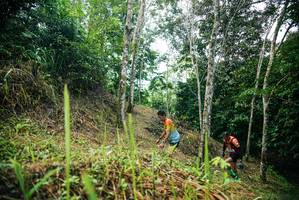 BIB: 
                            <button type="button" onclick="openModal(26293394)" class="btn btn-primary btn-sm float-right btn-popup" data-toggle="modal" data-target=".modal-high-quality">
                        <i class="fas fa-shopping-cart"></i> Add to Cart
                    </button>
                                            <button type="button" onclick="isThisMe(26293394, true)" class="btn btn-success btn-sm float-right btn-popup btn-isme hidden" data-toggle="tooltip" data-placement="bottom" title="นี่คือรูปของคุณใช่ไหม คลิกที่นี่เพื่อเอาเข้าอัลบั้ม">
                        <i class="fas fa-plus"></i> Add to album
                    </button>
                    <button type="button" onclick="isThisMe(26293394, false)" class="btn btn-warning btn-sm float-right btn-popup btn-isnotme hidden">
                        <i class="fas fa-ban"></i> Remove from album
                    </button>