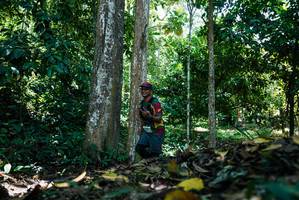 BIB: 
                            <button type="button" onclick="openModal(26303790)" class="btn btn-primary btn-sm float-right btn-popup" data-toggle="modal" data-target=".modal-high-quality">
                        <i class="fas fa-shopping-cart"></i> Add to Cart
                    </button>
                                            <button type="button" onclick="isThisMe(26303790, true)" class="btn btn-success btn-sm float-right btn-popup btn-isme hidden" data-toggle="tooltip" data-placement="bottom" title="นี่คือรูปของคุณใช่ไหม คลิกที่นี่เพื่อเอาเข้าอัลบั้ม">
                        <i class="fas fa-plus"></i> Add to album
                    </button>
                    <button type="button" onclick="isThisMe(26303790, false)" class="btn btn-warning btn-sm float-right btn-popup btn-isnotme hidden">
                        <i class="fas fa-ban"></i> Remove from album
                    </button>