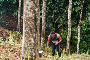 BIB: 
                            <button type="button" onclick="openModal(26292530)" class="btn btn-primary btn-sm float-right btn-popup" data-toggle="modal" data-target=".modal-high-quality">
                        <i class="fas fa-shopping-cart"></i> Add to Cart
                    </button>
                                            <button type="button" onclick="isThisMe(26292530, true)" class="btn btn-success btn-sm float-right btn-popup btn-isme hidden" data-toggle="tooltip" data-placement="bottom" title="นี่คือรูปของคุณใช่ไหม คลิกที่นี่เพื่อเอาเข้าอัลบั้ม">
                        <i class="fas fa-plus"></i> Add to album
                    </button>
                    <button type="button" onclick="isThisMe(26292530, false)" class="btn btn-warning btn-sm float-right btn-popup btn-isnotme hidden">
                        <i class="fas fa-ban"></i> Remove from album
                    </button>