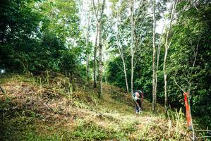 BIB: 
                            <button type="button" onclick="openModal(26294695)" class="btn btn-primary btn-sm float-right btn-popup" data-toggle="modal" data-target=".modal-high-quality">
                        <i class="fas fa-shopping-cart"></i> Add to Cart
                    </button>
                                            <button type="button" onclick="isThisMe(26294695, true)" class="btn btn-success btn-sm float-right btn-popup btn-isme hidden" data-toggle="tooltip" data-placement="bottom" title="นี่คือรูปของคุณใช่ไหม คลิกที่นี่เพื่อเอาเข้าอัลบั้ม">
                        <i class="fas fa-plus"></i> Add to album
                    </button>
                    <button type="button" onclick="isThisMe(26294695, false)" class="btn btn-warning btn-sm float-right btn-popup btn-isnotme hidden">
                        <i class="fas fa-ban"></i> Remove from album
                    </button>