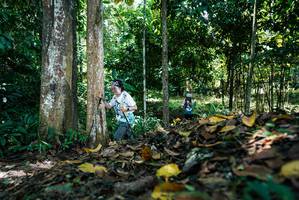 BIB: 
                            <button type="button" onclick="openModal(26303821)" class="btn btn-primary btn-sm float-right btn-popup" data-toggle="modal" data-target=".modal-high-quality">
                        <i class="fas fa-shopping-cart"></i> Add to Cart
                    </button>
                                            <button type="button" onclick="isThisMe(26303821, true)" class="btn btn-success btn-sm float-right btn-popup btn-isme hidden" data-toggle="tooltip" data-placement="bottom" title="นี่คือรูปของคุณใช่ไหม คลิกที่นี่เพื่อเอาเข้าอัลบั้ม">
                        <i class="fas fa-plus"></i> Add to album
                    </button>
                    <button type="button" onclick="isThisMe(26303821, false)" class="btn btn-warning btn-sm float-right btn-popup btn-isnotme hidden">
                        <i class="fas fa-ban"></i> Remove from album
                    </button>