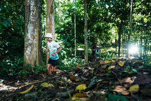 BIB: 
                            <button type="button" onclick="openModal(26303801)" class="btn btn-primary btn-sm float-right btn-popup" data-toggle="modal" data-target=".modal-high-quality">
                        <i class="fas fa-shopping-cart"></i> Add to Cart
                    </button>
                                            <button type="button" onclick="isThisMe(26303801, true)" class="btn btn-success btn-sm float-right btn-popup btn-isme hidden" data-toggle="tooltip" data-placement="bottom" title="นี่คือรูปของคุณใช่ไหม คลิกที่นี่เพื่อเอาเข้าอัลบั้ม">
                        <i class="fas fa-plus"></i> Add to album
                    </button>
                    <button type="button" onclick="isThisMe(26303801, false)" class="btn btn-warning btn-sm float-right btn-popup btn-isnotme hidden">
                        <i class="fas fa-ban"></i> Remove from album
                    </button>