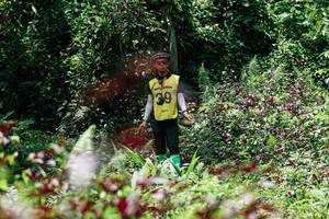 BIB: 
                            <button type="button" onclick="openModal(26279876)" class="btn btn-primary btn-sm float-right btn-popup" data-toggle="modal" data-target=".modal-high-quality">
                        <i class="fas fa-shopping-cart"></i> Add to Cart
                    </button>
                                            <button type="button" onclick="isThisMe(26279876, true)" class="btn btn-success btn-sm float-right btn-popup btn-isme hidden" data-toggle="tooltip" data-placement="bottom" title="นี่คือรูปของคุณใช่ไหม คลิกที่นี่เพื่อเอาเข้าอัลบั้ม">
                        <i class="fas fa-plus"></i> Add to album
                    </button>
                    <button type="button" onclick="isThisMe(26279876, false)" class="btn btn-warning btn-sm float-right btn-popup btn-isnotme hidden">
                        <i class="fas fa-ban"></i> Remove from album
                    </button>