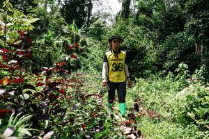 BIB: 
                            <button type="button" onclick="openModal(26279879)" class="btn btn-primary btn-sm float-right btn-popup" data-toggle="modal" data-target=".modal-high-quality">
                        <i class="fas fa-shopping-cart"></i> Add to Cart
                    </button>
                                            <button type="button" onclick="isThisMe(26279879, true)" class="btn btn-success btn-sm float-right btn-popup btn-isme hidden" data-toggle="tooltip" data-placement="bottom" title="นี่คือรูปของคุณใช่ไหม คลิกที่นี่เพื่อเอาเข้าอัลบั้ม">
                        <i class="fas fa-plus"></i> Add to album
                    </button>
                    <button type="button" onclick="isThisMe(26279879, false)" class="btn btn-warning btn-sm float-right btn-popup btn-isnotme hidden">
                        <i class="fas fa-ban"></i> Remove from album
                    </button>