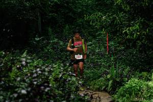 BIB: 
                            <button type="button" onclick="openModal(26279443)" class="btn btn-primary btn-sm float-right btn-popup" data-toggle="modal" data-target=".modal-high-quality">
                        <i class="fas fa-shopping-cart"></i> Add to Cart
                    </button>
                                            <button type="button" onclick="isThisMe(26279443, true)" class="btn btn-success btn-sm float-right btn-popup btn-isme hidden" data-toggle="tooltip" data-placement="bottom" title="นี่คือรูปของคุณใช่ไหม คลิกที่นี่เพื่อเอาเข้าอัลบั้ม">
                        <i class="fas fa-plus"></i> Add to album
                    </button>
                    <button type="button" onclick="isThisMe(26279443, false)" class="btn btn-warning btn-sm float-right btn-popup btn-isnotme hidden">
                        <i class="fas fa-ban"></i> Remove from album
                    </button>