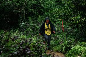 BIB: 
                            <button type="button" onclick="openModal(26279249)" class="btn btn-primary btn-sm float-right btn-popup" data-toggle="modal" data-target=".modal-high-quality">
                        <i class="fas fa-shopping-cart"></i> Add to Cart
                    </button>
                                            <button type="button" onclick="isThisMe(26279249, true)" class="btn btn-success btn-sm float-right btn-popup btn-isme hidden" data-toggle="tooltip" data-placement="bottom" title="นี่คือรูปของคุณใช่ไหม คลิกที่นี่เพื่อเอาเข้าอัลบั้ม">
                        <i class="fas fa-plus"></i> Add to album
                    </button>
                    <button type="button" onclick="isThisMe(26279249, false)" class="btn btn-warning btn-sm float-right btn-popup btn-isnotme hidden">
                        <i class="fas fa-ban"></i> Remove from album
                    </button>