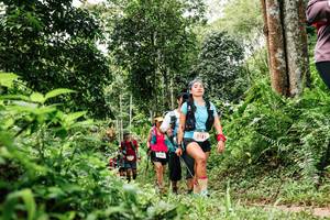 BIB: 
                            <button type="button" onclick="openModal(26276259)" class="btn btn-primary btn-sm float-right btn-popup" data-toggle="modal" data-target=".modal-high-quality">
                        <i class="fas fa-shopping-cart"></i> Add to Cart
                    </button>
                                            <button type="button" onclick="isThisMe(26276259, true)" class="btn btn-success btn-sm float-right btn-popup btn-isme hidden" data-toggle="tooltip" data-placement="bottom" title="นี่คือรูปของคุณใช่ไหม คลิกที่นี่เพื่อเอาเข้าอัลบั้ม">
                        <i class="fas fa-plus"></i> Add to album
                    </button>
                    <button type="button" onclick="isThisMe(26276259, false)" class="btn btn-warning btn-sm float-right btn-popup btn-isnotme hidden">
                        <i class="fas fa-ban"></i> Remove from album
                    </button>