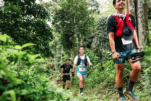 BIB: 
                            <button type="button" onclick="openModal(26276167)" class="btn btn-primary btn-sm float-right btn-popup" data-toggle="modal" data-target=".modal-high-quality">
                        <i class="fas fa-shopping-cart"></i> Add to Cart
                    </button>
                                            <button type="button" onclick="isThisMe(26276167, true)" class="btn btn-success btn-sm float-right btn-popup btn-isme hidden" data-toggle="tooltip" data-placement="bottom" title="นี่คือรูปของคุณใช่ไหม คลิกที่นี่เพื่อเอาเข้าอัลบั้ม">
                        <i class="fas fa-plus"></i> Add to album
                    </button>
                    <button type="button" onclick="isThisMe(26276167, false)" class="btn btn-warning btn-sm float-right btn-popup btn-isnotme hidden">
                        <i class="fas fa-ban"></i> Remove from album
                    </button>