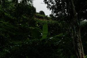 BIB: 
                            <button type="button" onclick="openModal(26216105)" class="btn btn-primary btn-sm float-right btn-popup" data-toggle="modal" data-target=".modal-high-quality">
                        <i class="fas fa-shopping-cart"></i> Add to Cart
                    </button>
                                            <button type="button" onclick="isThisMe(26216105, true)" class="btn btn-success btn-sm float-right btn-popup btn-isme hidden" data-toggle="tooltip" data-placement="bottom" title="นี่คือรูปของคุณใช่ไหม คลิกที่นี่เพื่อเอาเข้าอัลบั้ม">
                        <i class="fas fa-plus"></i> Add to album
                    </button>
                    <button type="button" onclick="isThisMe(26216105, false)" class="btn btn-warning btn-sm float-right btn-popup btn-isnotme hidden">
                        <i class="fas fa-ban"></i> Remove from album
                    </button>