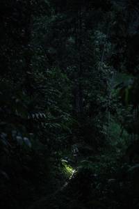 BIB: 
                            <button type="button" onclick="openModal(26499657)" class="btn btn-primary btn-sm float-right btn-popup" data-toggle="modal" data-target=".modal-high-quality">
                        <i class="fas fa-shopping-cart"></i> Add to Cart
                    </button>
                                            <button type="button" onclick="isThisMe(26499657, true)" class="btn btn-success btn-sm float-right btn-popup btn-isme hidden" data-toggle="tooltip" data-placement="bottom" title="นี่คือรูปของคุณใช่ไหม คลิกที่นี่เพื่อเอาเข้าอัลบั้ม">
                        <i class="fas fa-plus"></i> Add to album
                    </button>
                    <button type="button" onclick="isThisMe(26499657, false)" class="btn btn-warning btn-sm float-right btn-popup btn-isnotme hidden">
                        <i class="fas fa-ban"></i> Remove from album
                    </button>