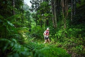 BIB: 
                            <button type="button" onclick="openModal(26432817)" class="btn btn-primary btn-sm float-right btn-popup" data-toggle="modal" data-target=".modal-high-quality">
                        <i class="fas fa-shopping-cart"></i> Add to Cart
                    </button>
                                            <button type="button" onclick="isThisMe(26432817, true)" class="btn btn-success btn-sm float-right btn-popup btn-isme hidden" data-toggle="tooltip" data-placement="bottom" title="นี่คือรูปของคุณใช่ไหม คลิกที่นี่เพื่อเอาเข้าอัลบั้ม">
                        <i class="fas fa-plus"></i> Add to album
                    </button>
                    <button type="button" onclick="isThisMe(26432817, false)" class="btn btn-warning btn-sm float-right btn-popup btn-isnotme hidden">
                        <i class="fas fa-ban"></i> Remove from album
                    </button>