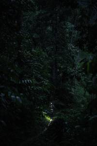 BIB: 
                            <button type="button" onclick="openModal(26499663)" class="btn btn-primary btn-sm float-right btn-popup" data-toggle="modal" data-target=".modal-high-quality">
                        <i class="fas fa-shopping-cart"></i> Add to Cart
                    </button>
                                            <button type="button" onclick="isThisMe(26499663, true)" class="btn btn-success btn-sm float-right btn-popup btn-isme hidden" data-toggle="tooltip" data-placement="bottom" title="นี่คือรูปของคุณใช่ไหม คลิกที่นี่เพื่อเอาเข้าอัลบั้ม">
                        <i class="fas fa-plus"></i> Add to album
                    </button>
                    <button type="button" onclick="isThisMe(26499663, false)" class="btn btn-warning btn-sm float-right btn-popup btn-isnotme hidden">
                        <i class="fas fa-ban"></i> Remove from album
                    </button>