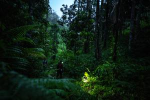 BIB: 
                            <button type="button" onclick="openModal(26499343)" class="btn btn-primary btn-sm float-right btn-popup" data-toggle="modal" data-target=".modal-high-quality">
                        <i class="fas fa-shopping-cart"></i> Add to Cart
                    </button>
                                            <button type="button" onclick="isThisMe(26499343, true)" class="btn btn-success btn-sm float-right btn-popup btn-isme hidden" data-toggle="tooltip" data-placement="bottom" title="นี่คือรูปของคุณใช่ไหม คลิกที่นี่เพื่อเอาเข้าอัลบั้ม">
                        <i class="fas fa-plus"></i> Add to album
                    </button>
                    <button type="button" onclick="isThisMe(26499343, false)" class="btn btn-warning btn-sm float-right btn-popup btn-isnotme hidden">
                        <i class="fas fa-ban"></i> Remove from album
                    </button>