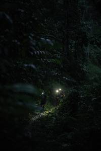 BIB: 
                            <button type="button" onclick="openModal(26499639)" class="btn btn-primary btn-sm float-right btn-popup" data-toggle="modal" data-target=".modal-high-quality">
                        <i class="fas fa-shopping-cart"></i> Add to Cart
                    </button>
                                            <button type="button" onclick="isThisMe(26499639, true)" class="btn btn-success btn-sm float-right btn-popup btn-isme hidden" data-toggle="tooltip" data-placement="bottom" title="นี่คือรูปของคุณใช่ไหม คลิกที่นี่เพื่อเอาเข้าอัลบั้ม">
                        <i class="fas fa-plus"></i> Add to album
                    </button>
                    <button type="button" onclick="isThisMe(26499639, false)" class="btn btn-warning btn-sm float-right btn-popup btn-isnotme hidden">
                        <i class="fas fa-ban"></i> Remove from album
                    </button>