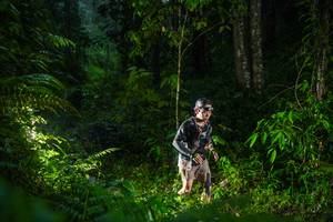 BIB: 
                            <button type="button" onclick="openModal(26432892)" class="btn btn-primary btn-sm float-right btn-popup" data-toggle="modal" data-target=".modal-high-quality">
                        <i class="fas fa-shopping-cart"></i> Add to Cart
                    </button>
                                            <button type="button" onclick="isThisMe(26432892, true)" class="btn btn-success btn-sm float-right btn-popup btn-isme hidden" data-toggle="tooltip" data-placement="bottom" title="นี่คือรูปของคุณใช่ไหม คลิกที่นี่เพื่อเอาเข้าอัลบั้ม">
                        <i class="fas fa-plus"></i> Add to album
                    </button>
                    <button type="button" onclick="isThisMe(26432892, false)" class="btn btn-warning btn-sm float-right btn-popup btn-isnotme hidden">
                        <i class="fas fa-ban"></i> Remove from album
                    </button>