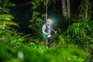 BIB: 
                            <button type="button" onclick="openModal(26434067)" class="btn btn-primary btn-sm float-right btn-popup" data-toggle="modal" data-target=".modal-high-quality">
                        <i class="fas fa-shopping-cart"></i> Add to Cart
                    </button>
                                            <button type="button" onclick="isThisMe(26434067, true)" class="btn btn-success btn-sm float-right btn-popup btn-isme hidden" data-toggle="tooltip" data-placement="bottom" title="นี่คือรูปของคุณใช่ไหม คลิกที่นี่เพื่อเอาเข้าอัลบั้ม">
                        <i class="fas fa-plus"></i> Add to album
                    </button>
                    <button type="button" onclick="isThisMe(26434067, false)" class="btn btn-warning btn-sm float-right btn-popup btn-isnotme hidden">
                        <i class="fas fa-ban"></i> Remove from album
                    </button>