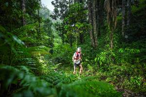 BIB: 
                            <button type="button" onclick="openModal(26432814)" class="btn btn-primary btn-sm float-right btn-popup" data-toggle="modal" data-target=".modal-high-quality">
                        <i class="fas fa-shopping-cart"></i> Add to Cart
                    </button>
                                            <button type="button" onclick="isThisMe(26432814, true)" class="btn btn-success btn-sm float-right btn-popup btn-isme hidden" data-toggle="tooltip" data-placement="bottom" title="นี่คือรูปของคุณใช่ไหม คลิกที่นี่เพื่อเอาเข้าอัลบั้ม">
                        <i class="fas fa-plus"></i> Add to album
                    </button>
                    <button type="button" onclick="isThisMe(26432814, false)" class="btn btn-warning btn-sm float-right btn-popup btn-isnotme hidden">
                        <i class="fas fa-ban"></i> Remove from album
                    </button>