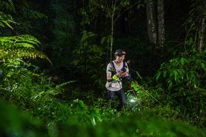 BIB: 
                            <button type="button" onclick="openModal(26433175)" class="btn btn-primary btn-sm float-right btn-popup" data-toggle="modal" data-target=".modal-high-quality">
                        <i class="fas fa-shopping-cart"></i> Add to Cart
                    </button>
                                            <button type="button" onclick="isThisMe(26433175, true)" class="btn btn-success btn-sm float-right btn-popup btn-isme hidden" data-toggle="tooltip" data-placement="bottom" title="นี่คือรูปของคุณใช่ไหม คลิกที่นี่เพื่อเอาเข้าอัลบั้ม">
                        <i class="fas fa-plus"></i> Add to album
                    </button>
                    <button type="button" onclick="isThisMe(26433175, false)" class="btn btn-warning btn-sm float-right btn-popup btn-isnotme hidden">
                        <i class="fas fa-ban"></i> Remove from album
                    </button>