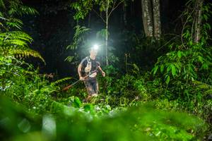 BIB: 
                            <button type="button" onclick="openModal(26434083)" class="btn btn-primary btn-sm float-right btn-popup" data-toggle="modal" data-target=".modal-high-quality">
                        <i class="fas fa-shopping-cart"></i> Add to Cart
                    </button>
                                            <button type="button" onclick="isThisMe(26434083, true)" class="btn btn-success btn-sm float-right btn-popup btn-isme hidden" data-toggle="tooltip" data-placement="bottom" title="นี่คือรูปของคุณใช่ไหม คลิกที่นี่เพื่อเอาเข้าอัลบั้ม">
                        <i class="fas fa-plus"></i> Add to album
                    </button>
                    <button type="button" onclick="isThisMe(26434083, false)" class="btn btn-warning btn-sm float-right btn-popup btn-isnotme hidden">
                        <i class="fas fa-ban"></i> Remove from album
                    </button>