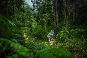 BIB: 
                            <button type="button" onclick="openModal(26432776)" class="btn btn-primary btn-sm float-right btn-popup" data-toggle="modal" data-target=".modal-high-quality">
                        <i class="fas fa-shopping-cart"></i> Add to Cart
                    </button>
                                            <button type="button" onclick="isThisMe(26432776, true)" class="btn btn-success btn-sm float-right btn-popup btn-isme hidden" data-toggle="tooltip" data-placement="bottom" title="นี่คือรูปของคุณใช่ไหม คลิกที่นี่เพื่อเอาเข้าอัลบั้ม">
                        <i class="fas fa-plus"></i> Add to album
                    </button>
                    <button type="button" onclick="isThisMe(26432776, false)" class="btn btn-warning btn-sm float-right btn-popup btn-isnotme hidden">
                        <i class="fas fa-ban"></i> Remove from album
                    </button>