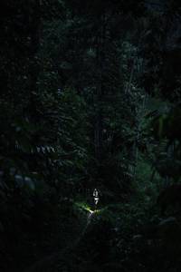 BIB: 
                            <button type="button" onclick="openModal(26499655)" class="btn btn-primary btn-sm float-right btn-popup" data-toggle="modal" data-target=".modal-high-quality">
                        <i class="fas fa-shopping-cart"></i> Add to Cart
                    </button>
                                            <button type="button" onclick="isThisMe(26499655, true)" class="btn btn-success btn-sm float-right btn-popup btn-isme hidden" data-toggle="tooltip" data-placement="bottom" title="นี่คือรูปของคุณใช่ไหม คลิกที่นี่เพื่อเอาเข้าอัลบั้ม">
                        <i class="fas fa-plus"></i> Add to album
                    </button>
                    <button type="button" onclick="isThisMe(26499655, false)" class="btn btn-warning btn-sm float-right btn-popup btn-isnotme hidden">
                        <i class="fas fa-ban"></i> Remove from album
                    </button>