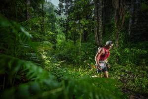 BIB: 
                            <button type="button" onclick="openModal(26432810)" class="btn btn-primary btn-sm float-right btn-popup" data-toggle="modal" data-target=".modal-high-quality">
                        <i class="fas fa-shopping-cart"></i> Add to Cart
                    </button>
                                            <button type="button" onclick="isThisMe(26432810, true)" class="btn btn-success btn-sm float-right btn-popup btn-isme hidden" data-toggle="tooltip" data-placement="bottom" title="นี่คือรูปของคุณใช่ไหม คลิกที่นี่เพื่อเอาเข้าอัลบั้ม">
                        <i class="fas fa-plus"></i> Add to album
                    </button>
                    <button type="button" onclick="isThisMe(26432810, false)" class="btn btn-warning btn-sm float-right btn-popup btn-isnotme hidden">
                        <i class="fas fa-ban"></i> Remove from album
                    </button>