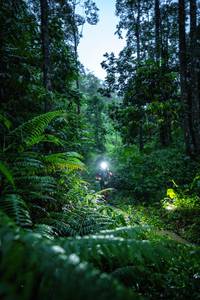 BIB: 
                            <button type="button" onclick="openModal(26499573)" class="btn btn-primary btn-sm float-right btn-popup" data-toggle="modal" data-target=".modal-high-quality">
                        <i class="fas fa-shopping-cart"></i> Add to Cart
                    </button>
                                            <button type="button" onclick="isThisMe(26499573, true)" class="btn btn-success btn-sm float-right btn-popup btn-isme hidden" data-toggle="tooltip" data-placement="bottom" title="นี่คือรูปของคุณใช่ไหม คลิกที่นี่เพื่อเอาเข้าอัลบั้ม">
                        <i class="fas fa-plus"></i> Add to album
                    </button>
                    <button type="button" onclick="isThisMe(26499573, false)" class="btn btn-warning btn-sm float-right btn-popup btn-isnotme hidden">
                        <i class="fas fa-ban"></i> Remove from album
                    </button>