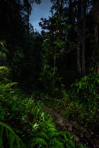 BIB: 
                            <button type="button" onclick="openModal(26498785)" class="btn btn-primary btn-sm float-right btn-popup" data-toggle="modal" data-target=".modal-high-quality">
                        <i class="fas fa-shopping-cart"></i> Add to Cart
                    </button>
                                            <button type="button" onclick="isThisMe(26498785, true)" class="btn btn-success btn-sm float-right btn-popup btn-isme hidden" data-toggle="tooltip" data-placement="bottom" title="นี่คือรูปของคุณใช่ไหม คลิกที่นี่เพื่อเอาเข้าอัลบั้ม">
                        <i class="fas fa-plus"></i> Add to album
                    </button>
                    <button type="button" onclick="isThisMe(26498785, false)" class="btn btn-warning btn-sm float-right btn-popup btn-isnotme hidden">
                        <i class="fas fa-ban"></i> Remove from album
                    </button>